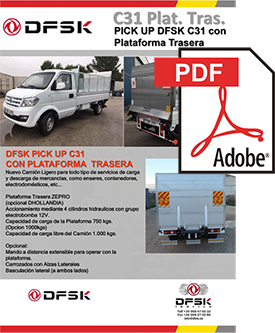 Mantentze-lanetako ibilgailu karrozatuak, C31 Atzeko plataforma - Pickup